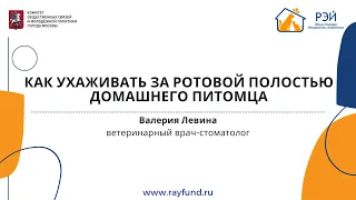 Как ухаживать за ротовой полостью домашнего питомца