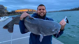 Big Blue catfish | Potomac River fishing (NEW PB) Ft The fishin magican