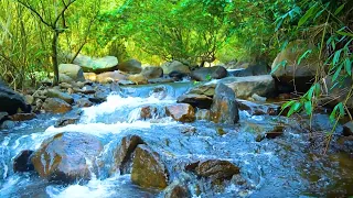 Nature, relaxation, River sound, birdsong :studying, working, sleeping, healing.