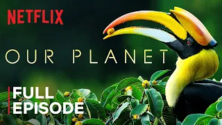Our Planet | Forests | FULL EPISODE | Netflix