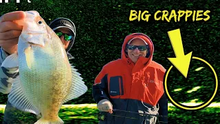 The MOST FUN CRAPPIE BITE in Kansas with LIVESCOPE!!