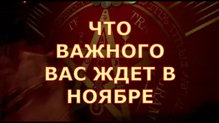 ♥️♣️🍁ЧТО ВАЖНОГО ВАС ЖДЕТ В НОЯБРЕ КАКИЕ СОБЫТИЯ ПЕРЕМЕНЫ Таротерапия знаки судьбы #tarot#gadanie