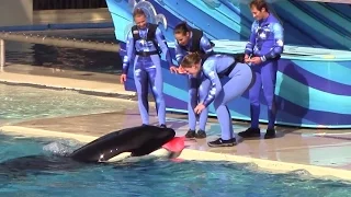 Happy 10th Birthday, Kalia! (One Ocean - Full Show - SeaWorld San Diego - December 21, 2014)