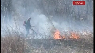 В крае введен особый противопожарный режим