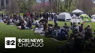 Pro-Palestinian protesters demand that Northwestern divest from Israeli interests