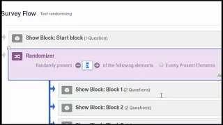 Qualtrics: Randomising between blocks (conditions)