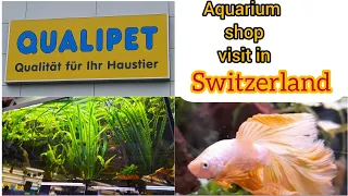 Aquarium shop visit in Switzerland/Qualipet in St.Gallen/ Aquarium fishes/beautiful fishes