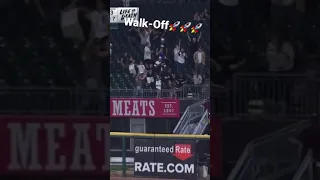 Rookie (Gavin Sheets) Hits a Walk-Off Homerun