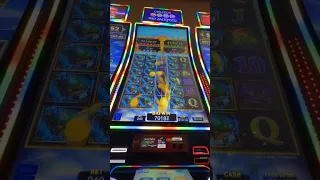 Butterfly Rise slot machine 41 free spins! #slots #casino #gambling #slotaddiction