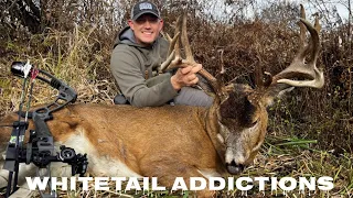 Four Year Quest For A Buck Named Woody!