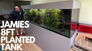 VISITING JAMIES MASSIVE 8FT PLANTED COMMUNITY AQUARIUM (1500 LITRES MUST SEE)