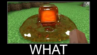 Minecraft realistic wait what meme, Lava, Water, Slime #355