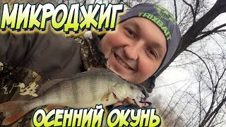 Ловля на микроджиг осенью в городе. Пассивный окунь!