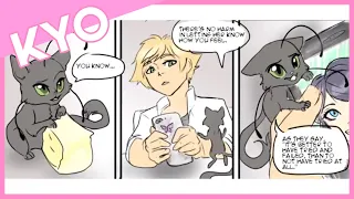 Confess (Touching Miraculous Ladybug Comic Dub)