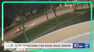 Woman who was shot at during St. Pete road rage speaks on incident