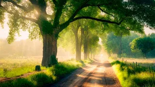 Beautiful Relaxing Music - Stop Overthinking, Calming Music, "Beautiful Morning Everyday"