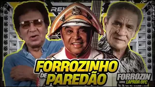 🔴FORROZINHO DE PAREDÃO 😎🍻SÓ OS CLASSICOS 2023-AS MELHORES #nordeste #luizgonzaga #paredão #paraiba