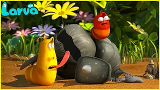 🍓🥤LARVA SEASON 6 EPISODE 300🍓🥤 CARTOONS FOR EVERYONE 🍓🥤 CARTOONS MOVIE NEW VERSION