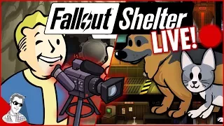 Fallout Shelter Vault 808 - Building The Perfect Vault