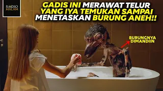 TELUR APAKAH INI ??? - Alur Film Hatching (2022)