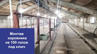 Монтаж коровника на 100 голов КРС привязного содержания в Орловской области