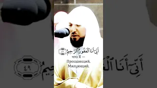 📜сура аль Хиджр [49-50]🇸🇦📽️🇷🇺 🔊шейх Махир аль Муакли #ماهر_المعيقلي