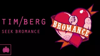 Tim Berg - 'Seek Bromance' (Avicii's Arena Mix)