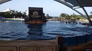 Loro Parque