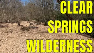 Godwin West to Hutchins Creek in Clear Springs Wilderness