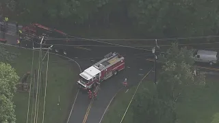 Driver killed after tree falls on SUV in Gaston County | WSOC-TV