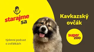 Kavkazský ovčák | Podcast Super zoo