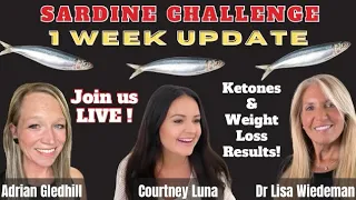 Sardine Challenge || Recap and tips to get you started! @carnivoredoctor @AdrianKGledhill