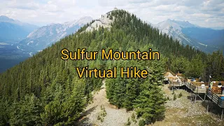 Canada 🇨🇦🇨🇦🇨🇦 Sulphur Mountain  Virtual Hike