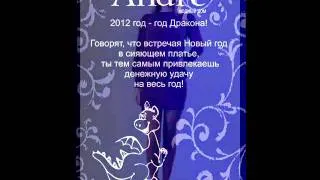 Новый 2012 год с Andre!.wmv