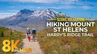 Exploring Landscapes of Mount St Helens - 8K HDR Scenic Hike along Harry's Ridge Trail (3 Way View)