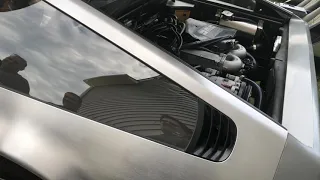 1981 DeLorean DMC-12 With Sports Exhaust Revving and idle.