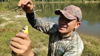 Camping sozinho na beira do Rio, peixe assado pro almoço.