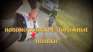 Новомосковские дорожные пиявки