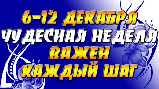 6-12 декабря Чудесная неделя - важен каждый шаг!