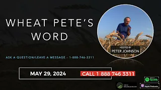 Wheat Pete's Word, May 29: Turning signals, the value of weed control and sticking with corn