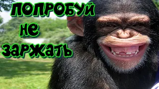 Подборка приколов | казусы с людьми