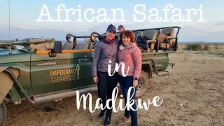 Luxury African Safari at Impodimo Game Lodge