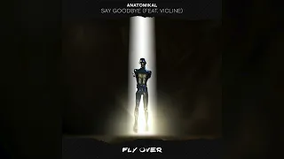 Anatomikal - Say Goodbye (feat. VICLINE)
