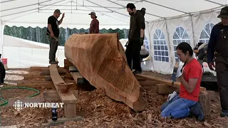 Making a massive canoe from 450-year-old tree