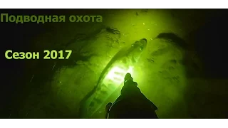 СЕЗОН 2017 ОТКРЫТ! Подводная охота: судак, налим.