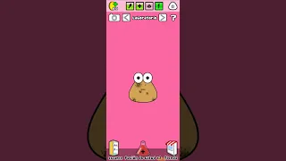 día 2 cuidando a pou