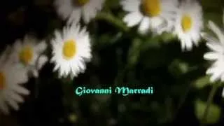 GIOVANNI MARRADI - Anne's Theme