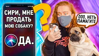 SIRI УПРАВЛЯЕТ МНОЙ 24 ЧАСА