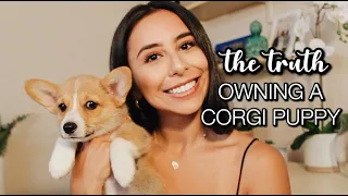 8 THINGS I WISH I KNEW BEFORE GETTING A CORGI PUPPY! Best Advice + Tips For New Puppy Owners