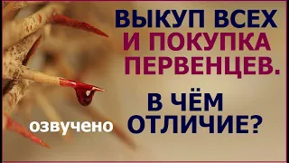 1.18а ВЫКУП всех и ПОКУПКА первенцев – в чём отличие? Свидетели Иеговы